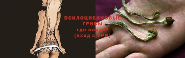 меф Надым
