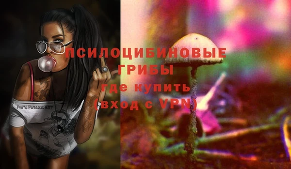 дживик Наволоки